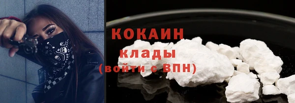 бошки Бронницы