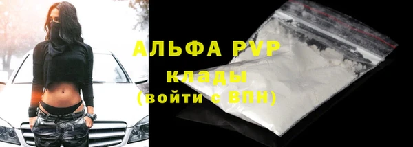 apvp Богородск