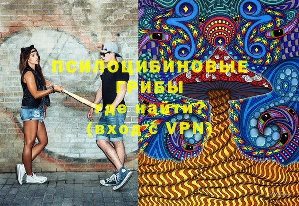 apvp Богородск