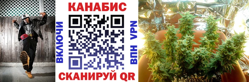 Канабис планчик  Княгинино 